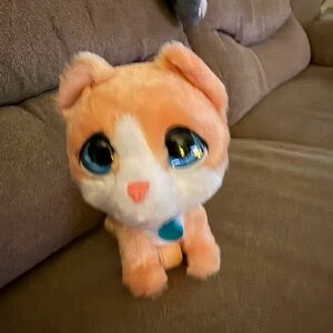 Adorable Plush Cat Toy with Blue Eyes